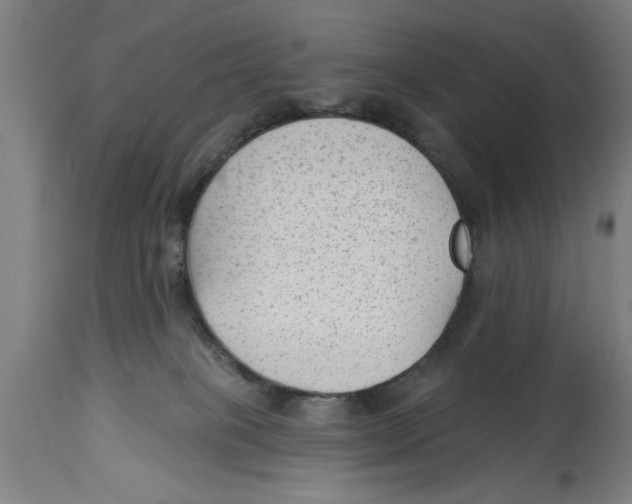 X0000114690085200911181303