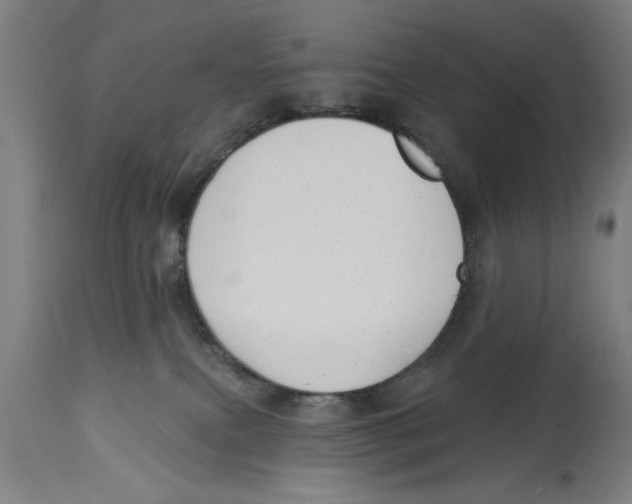 X0000114690087200911181303