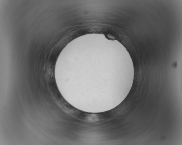 X0000114690091200911181303