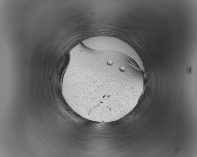 X0000114690092200911181303