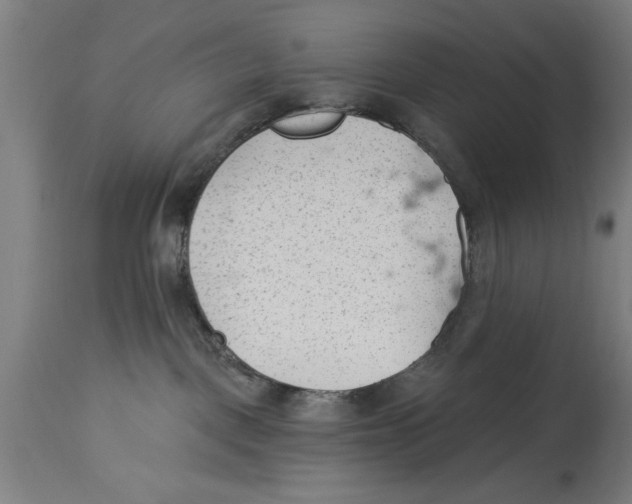 X0000114690093200911181303