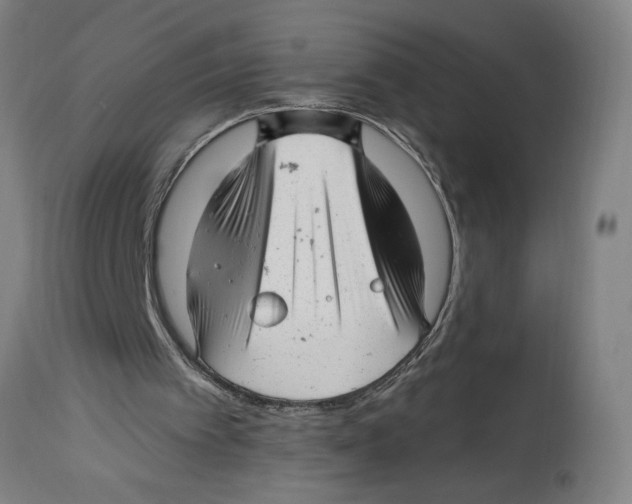 X0000114690097200911181302