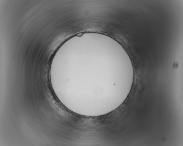 X0000114690098200911181302