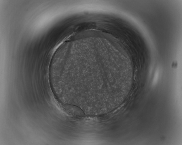 X0000114690099200911181302