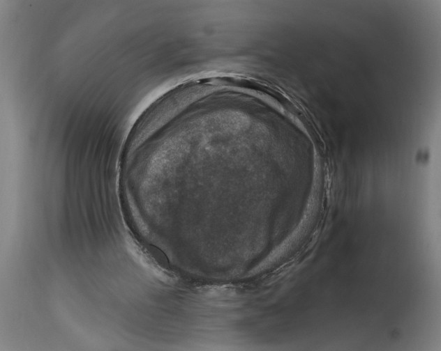 X0000114690100200911181302