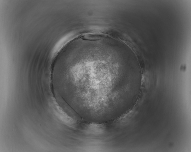 X0000114690101200911181302