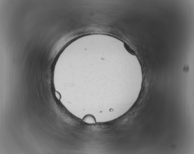 X0000114690103200911181302
