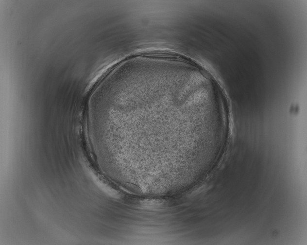 X0000114690105200911181302