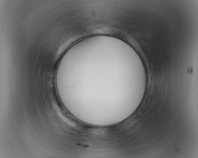 X0000114690106200911181302