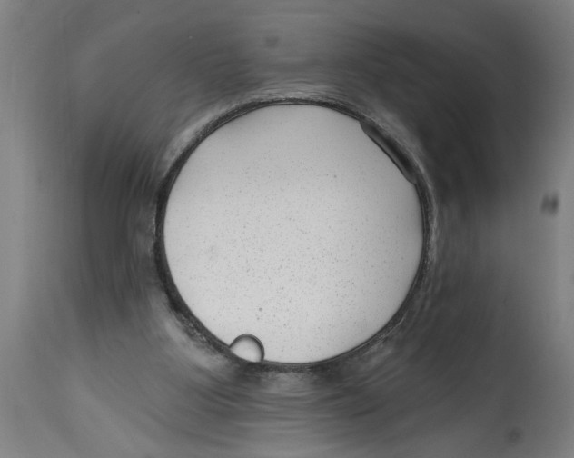 X0000114690107200911181302