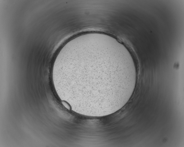 X0000114690108200911181302