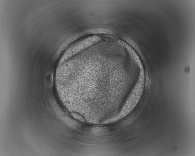 X0000114690109200911181302
