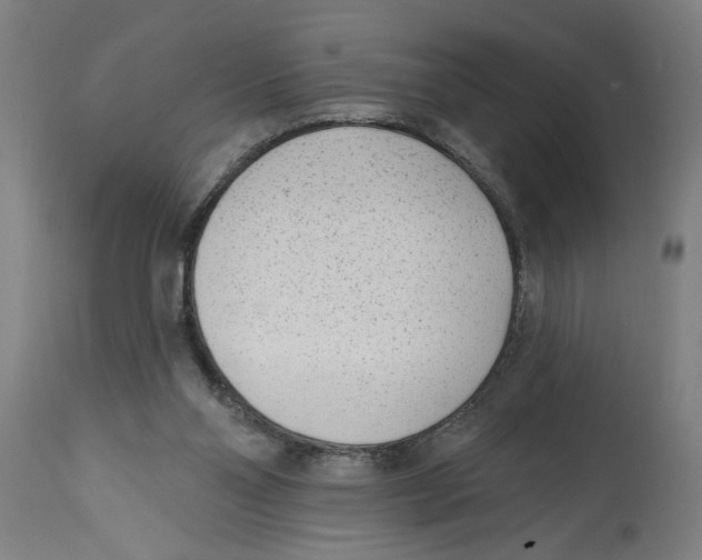 X0000114690110200911181302