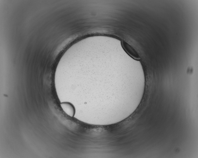 X0000114690112200911181302