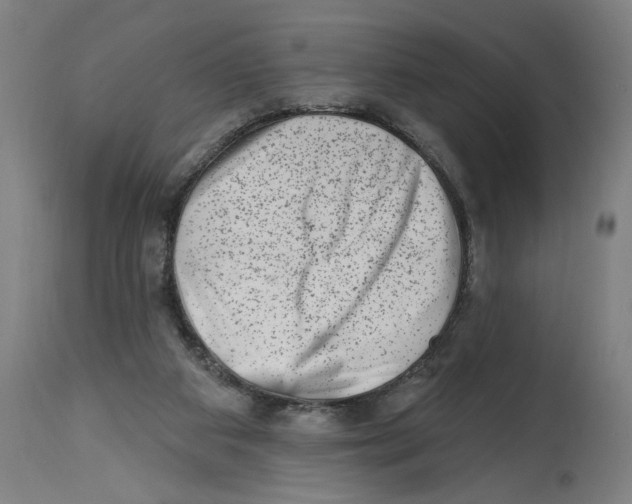 X0000114690113200911181302