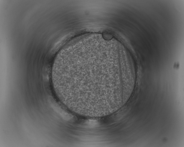 X0000114690114200911181302