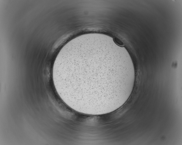 X0000114690116200911181302