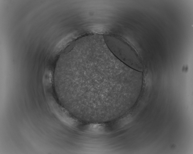 X0000114690117200911181302