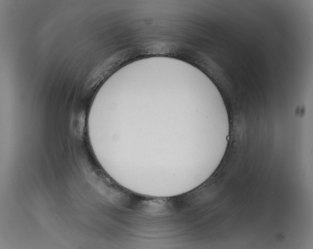 X0000114690118200911181302