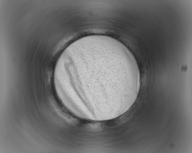 X0000114690120200911181302