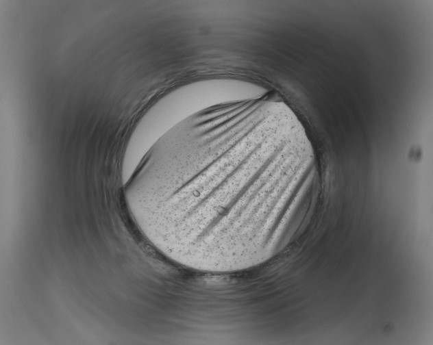 X0000114690121200911181302