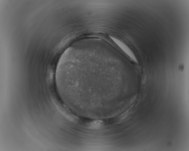 X0000114690124200911181302
