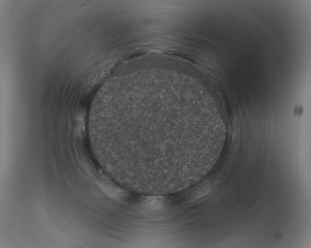 X0000114690127200911181302