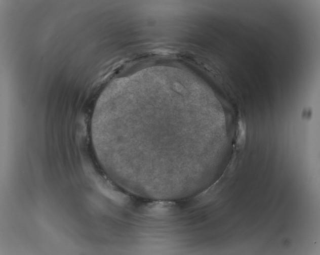 X0000114690128200911181302