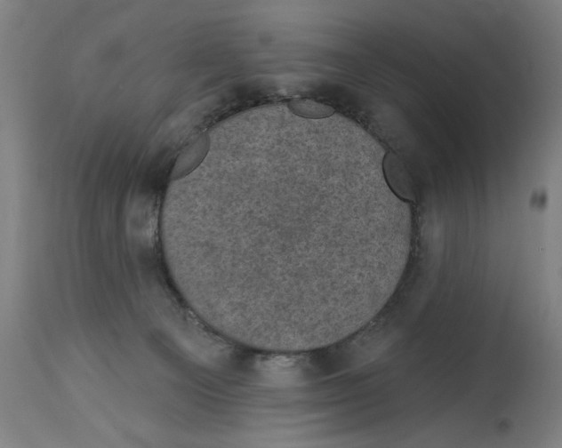 X0000114690129200911181302