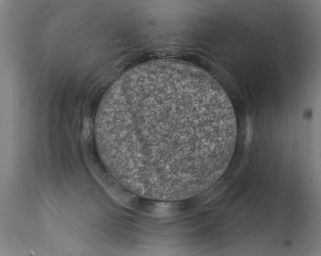 X0000114690130200911181302