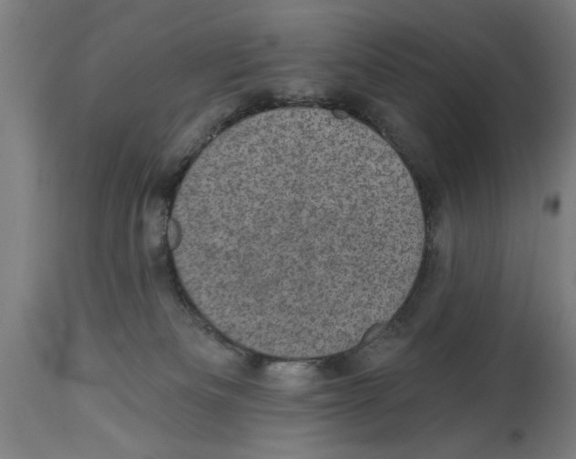 X0000114690133200911181302