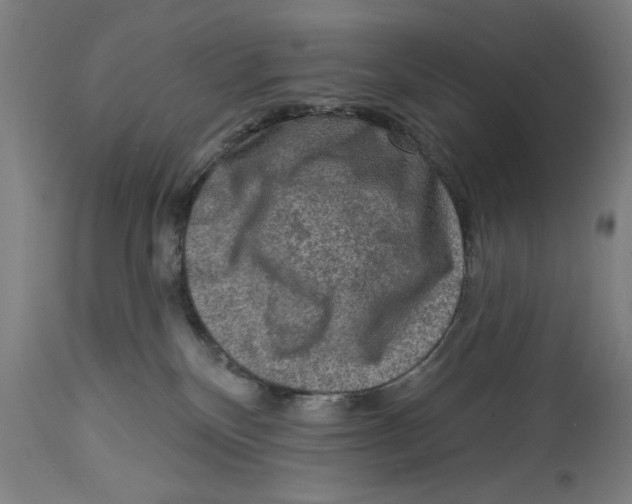 X0000114690136200911181302