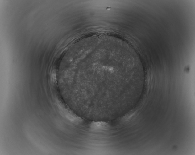 X0000114690137200911181302