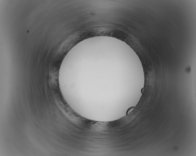 X0000114690138200911181302