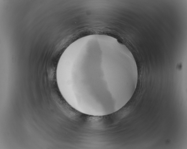 X0000114690139200911181302