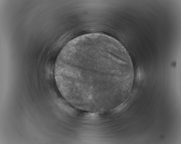 X0000114690140200911181302