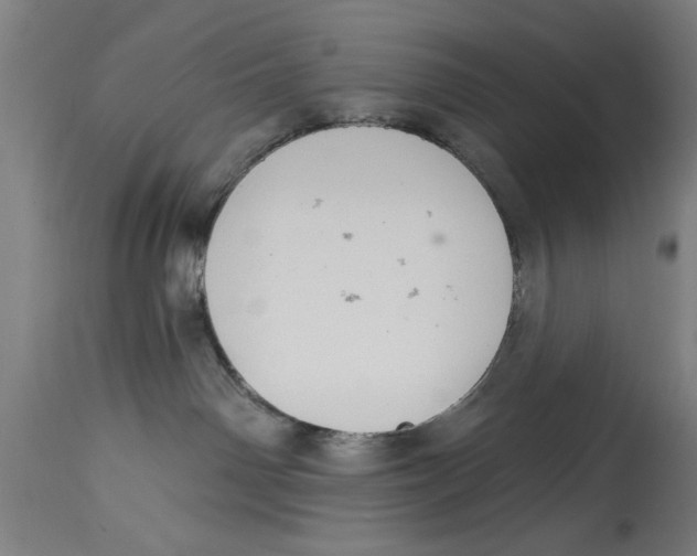 X0000114690142200911181302