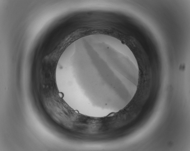 X0000114690143200911181302