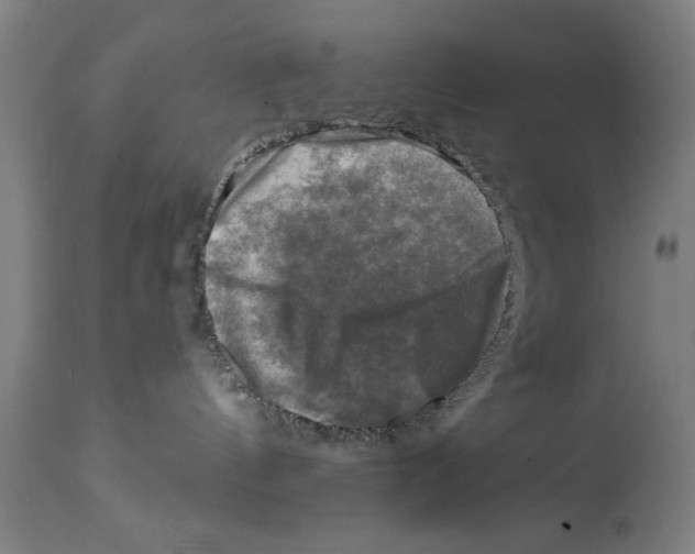 X0000114690144200911181302