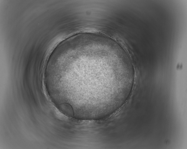 X0000114690145200911181301