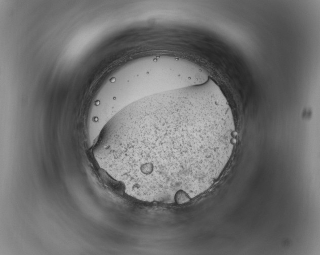 X0000114690146200911181301