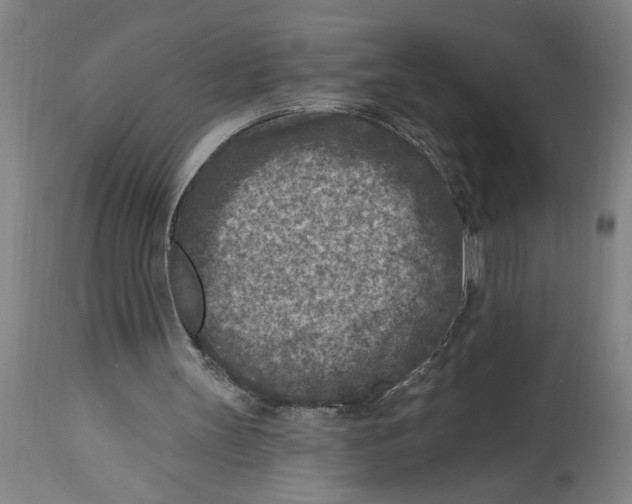 X0000114690147200911181301