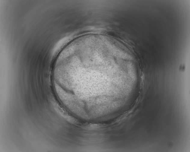 X0000114690149200911181301