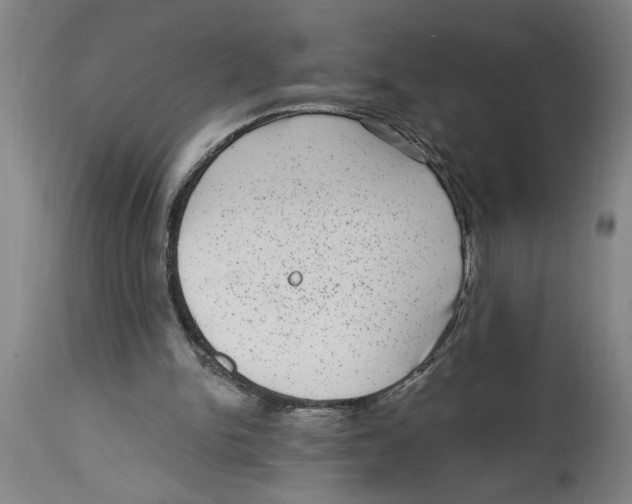 X0000114690150200911181301