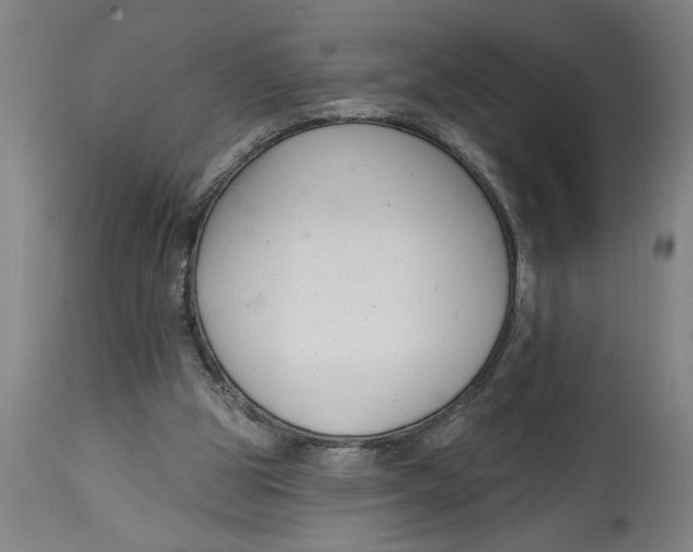 X0000114690153200911181301