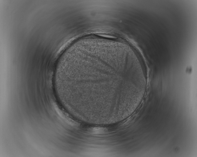 X0000114690154200911181301