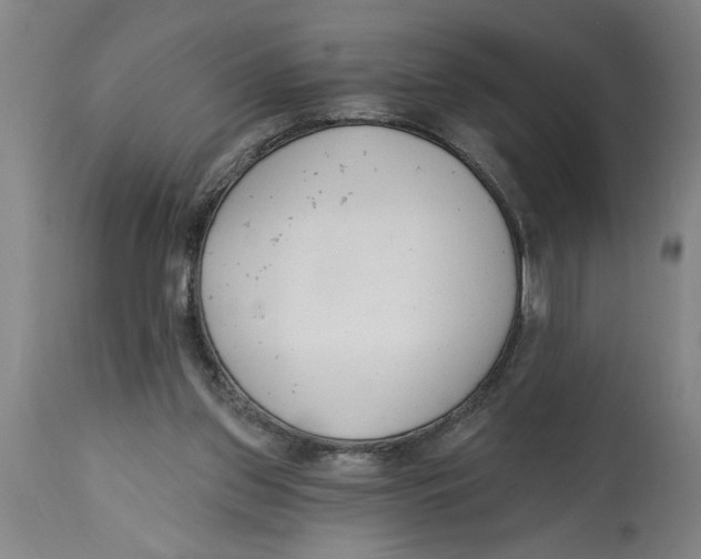 X0000114690157200911181301