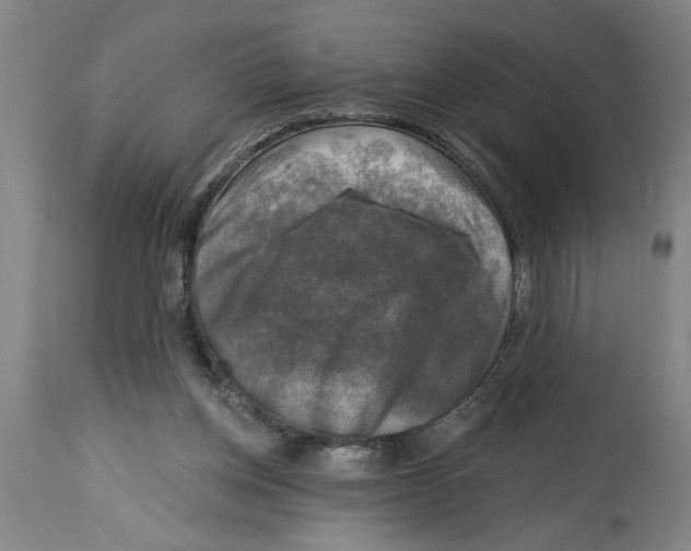 X0000114690158200911181301