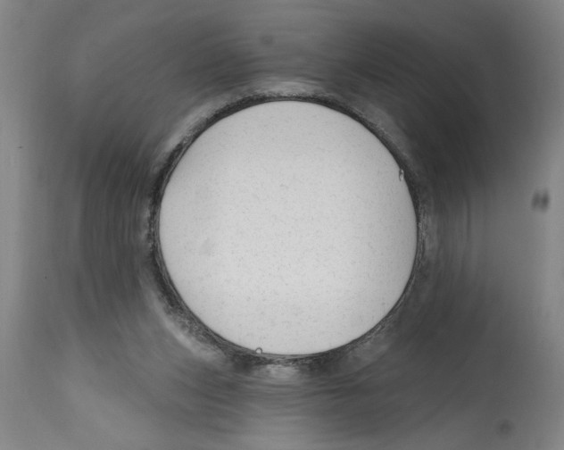 X0000114690159200911181301