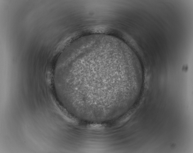 X0000114690161200911181301